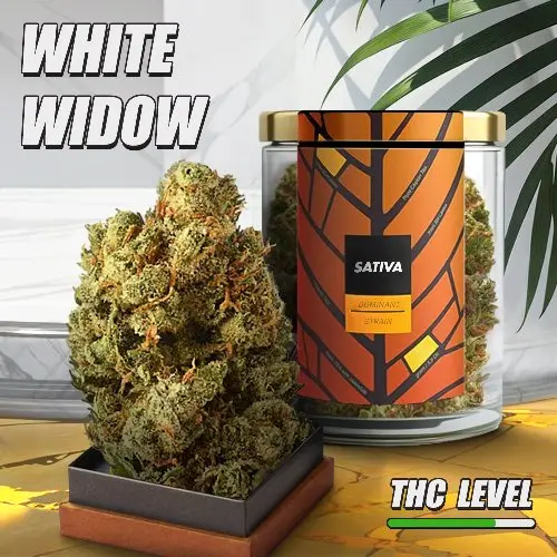 Шишки White Widow